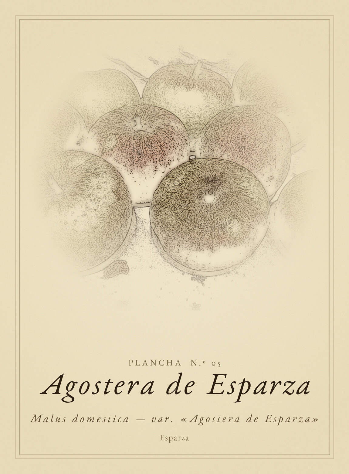 Lámina de Agostera de Esparza