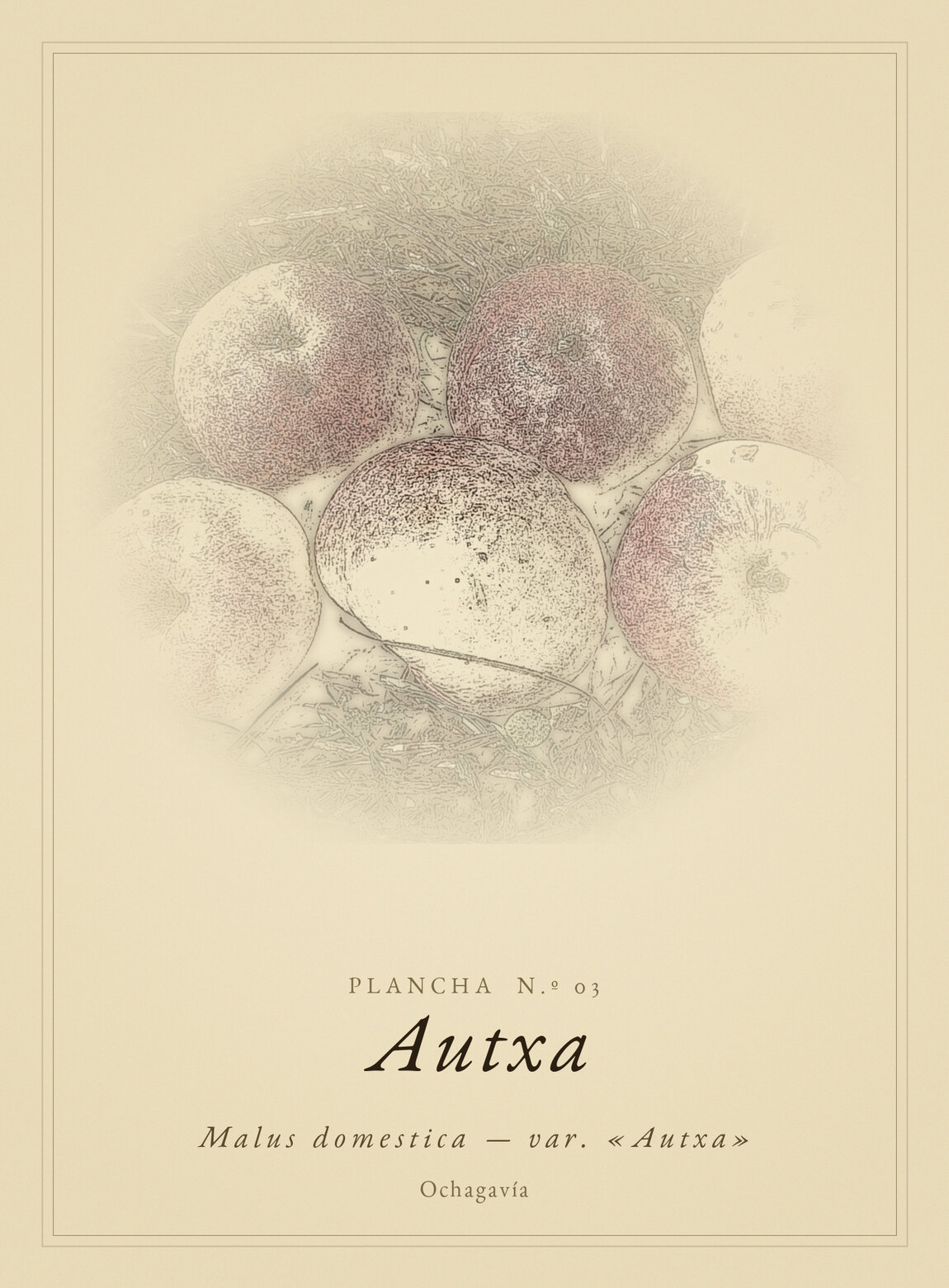 Lámina de Autxa