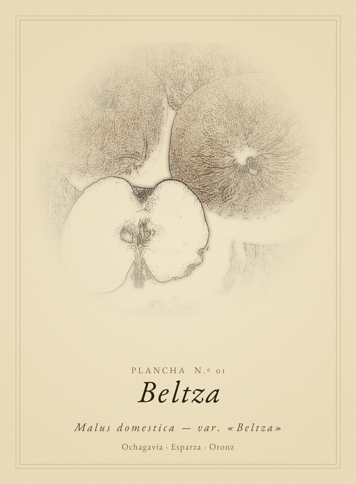 Lámina de Beltza