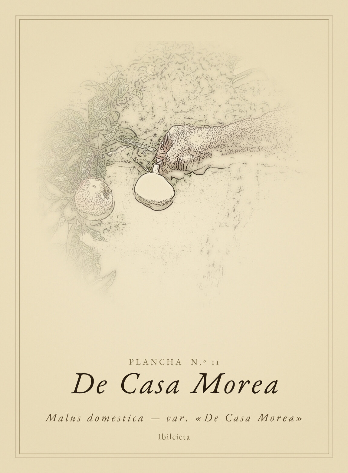 Lámina de De Casa Morea