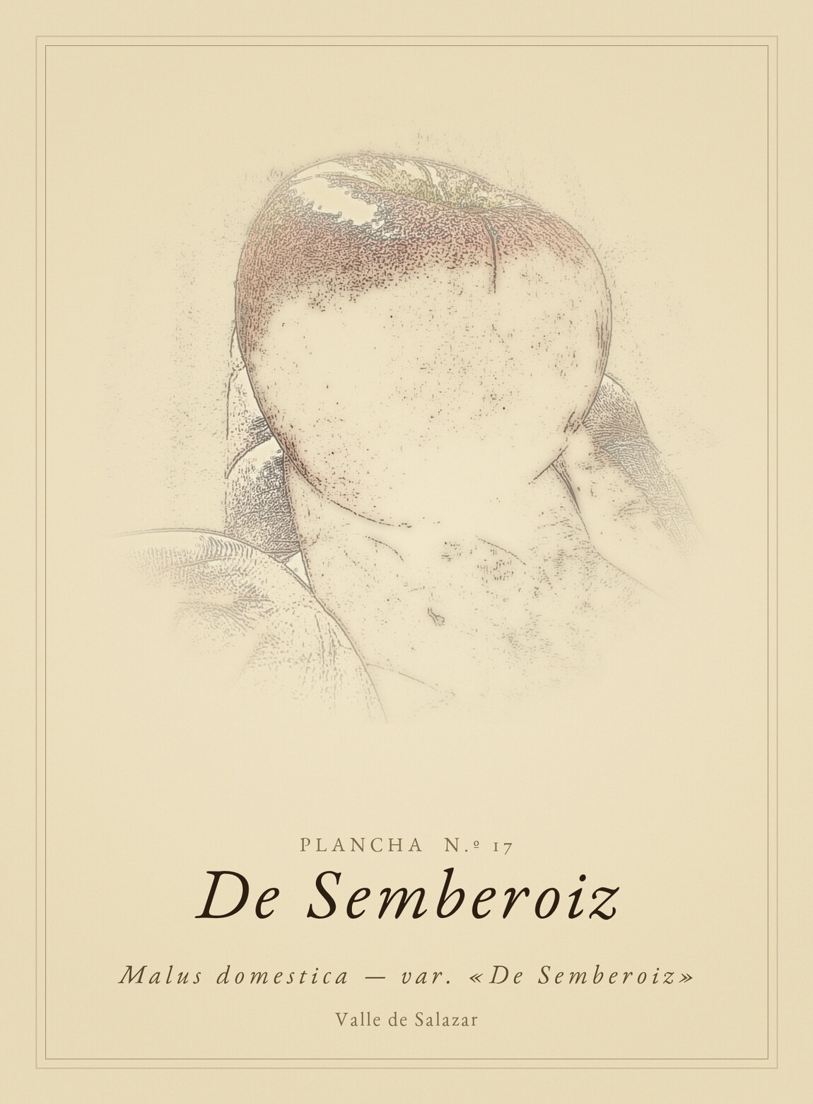 Lámina de De Semberoiz