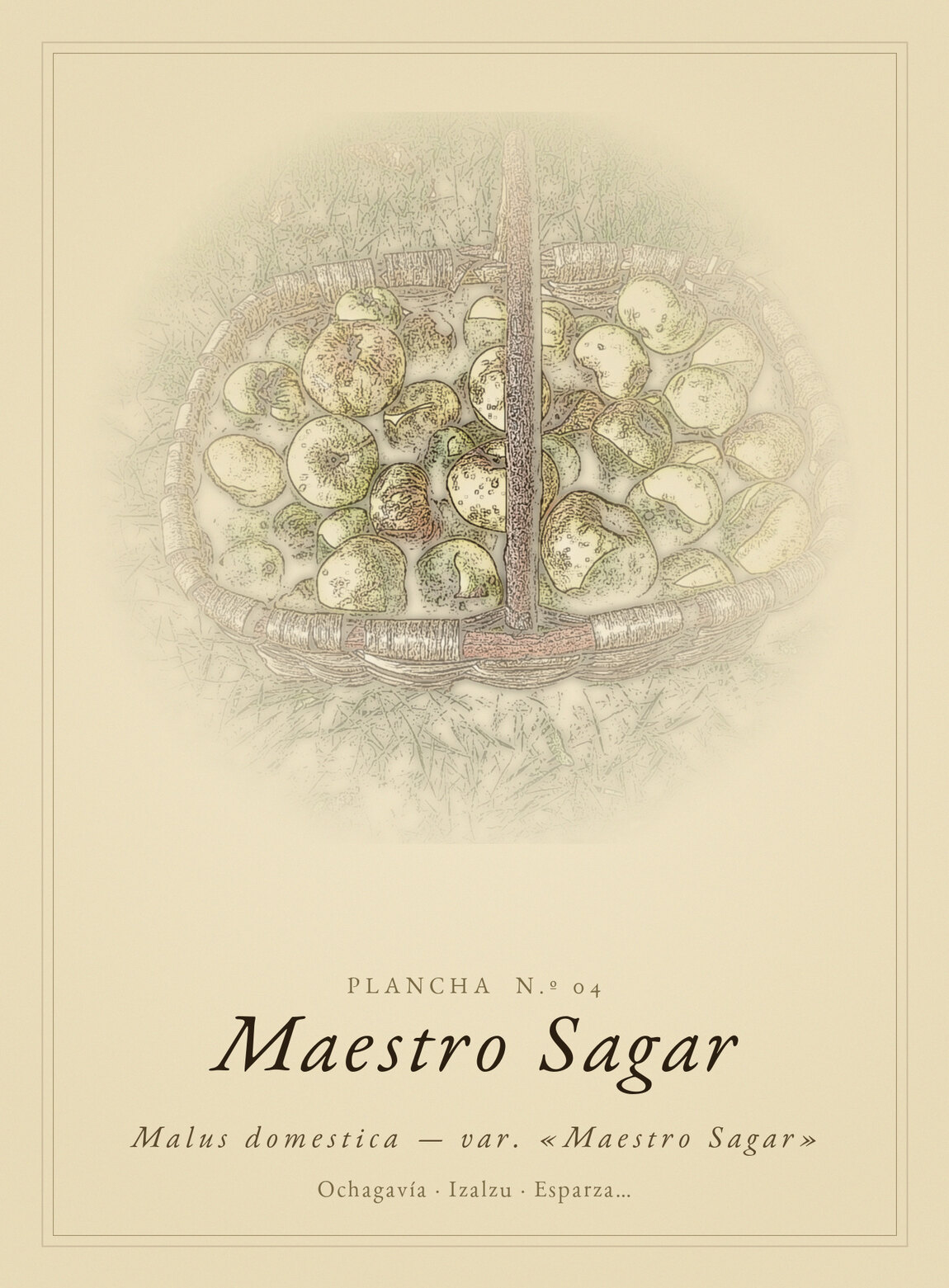 Lámina de Maestro Sagar