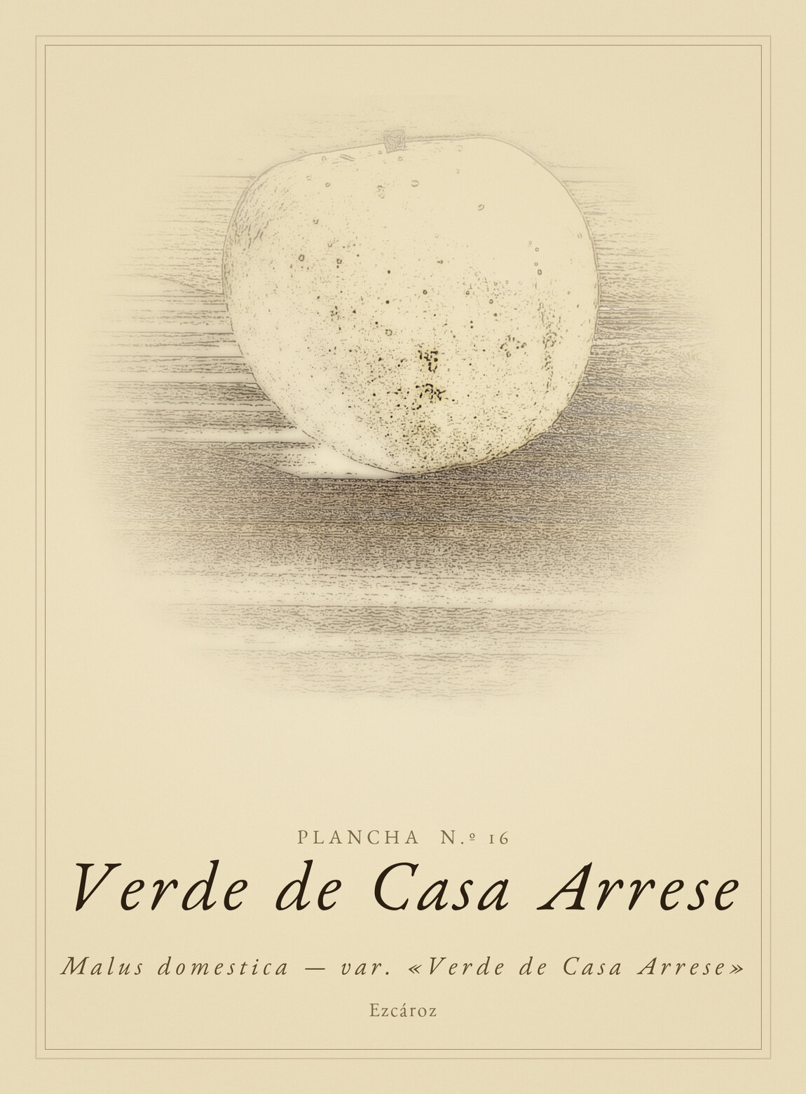 Lámina de Verde de Casa Arrese